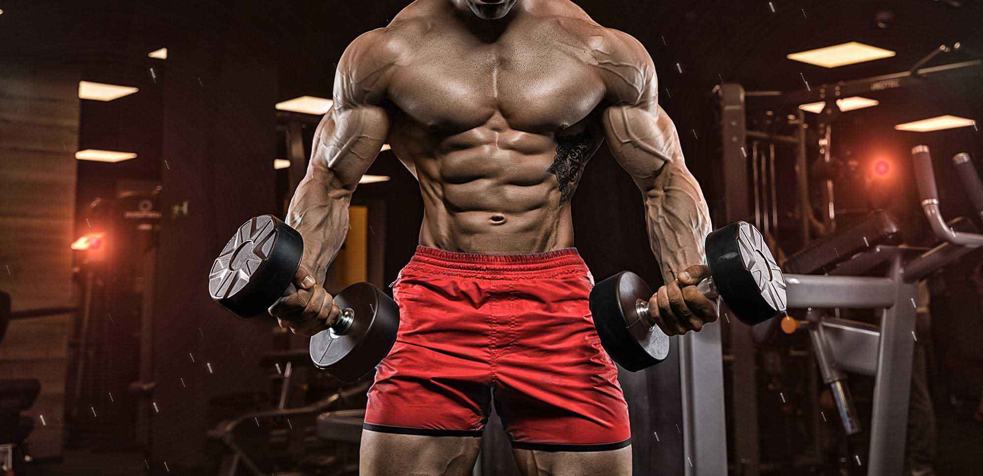 Fatburners Austria, Yohimbina HCL, Efedrina, Testo booster