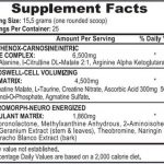 APS Mesomorph V4 DMHA + DMAA Ingredientes