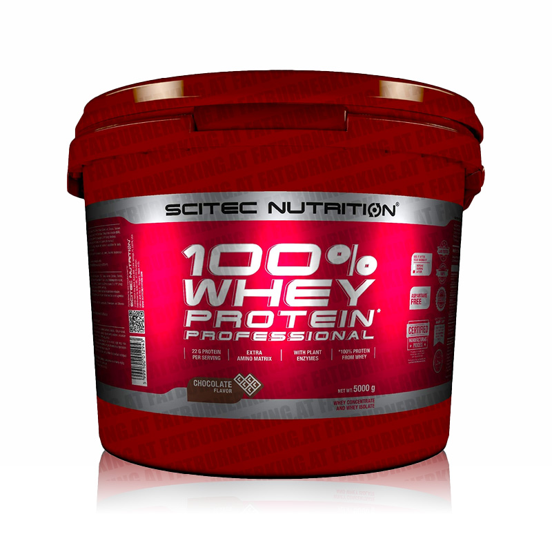 Pulver Protein,B2 Powder Scitec Nutrition – 100% Whey Protein – 1000g Beutel 