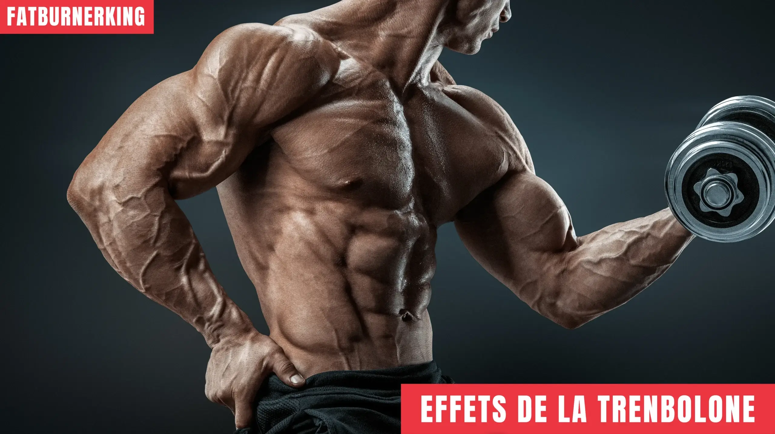 Effets de la trenbolone