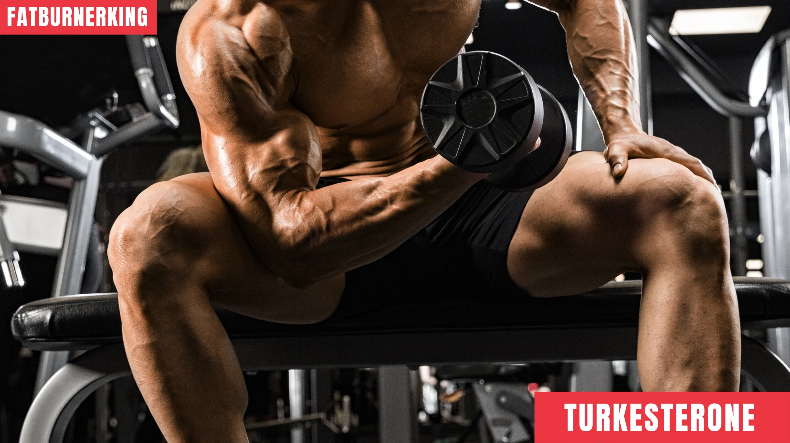 Turkesterone: Was steckt hinter dem Hype um das pflanzliche Muskelaufbau-Supplement?